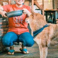 Inu Cafe User Photo