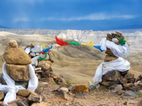 Tibet Earth Forest of Zanda National Geological Park