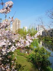 桜花公園