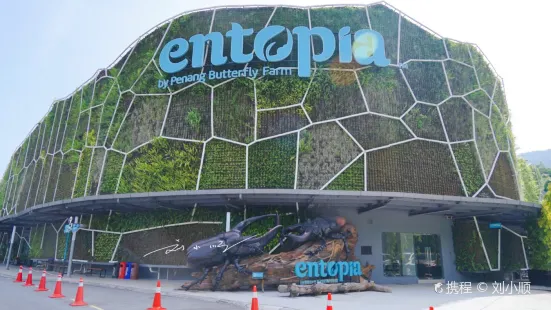 Entopia by Penang Butterfly Farm