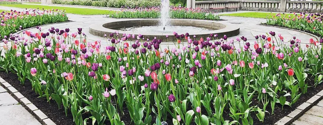 Spring Outings