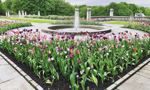 The Vigeland Park