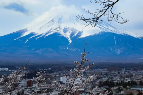 Arakurayama Sengen Park