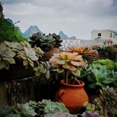 鹿咖啡 User Photo