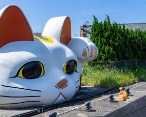 香港-常滑市 機票酒店 自由行