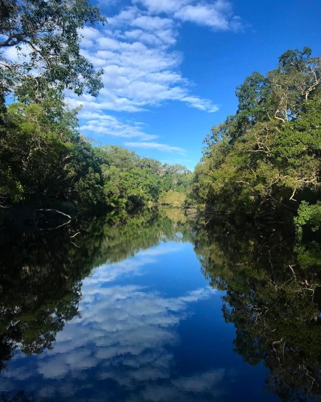 Everglades