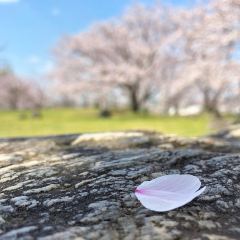 柳川城址旅遊攻略指南 柳川城址評論 柳川城址附近推薦 Trip Com