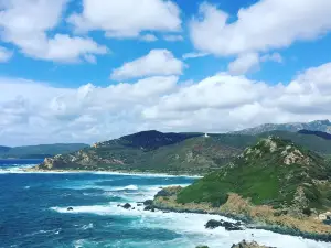 赤血群島