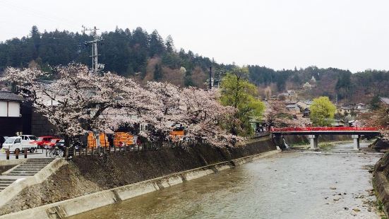 令人耳目一新的桜山日光館樱花山日光馆参观票是我们在节日浮游物