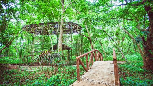 Palawan Wildlife Rescue and Conservation Center (Crocodile Farm)