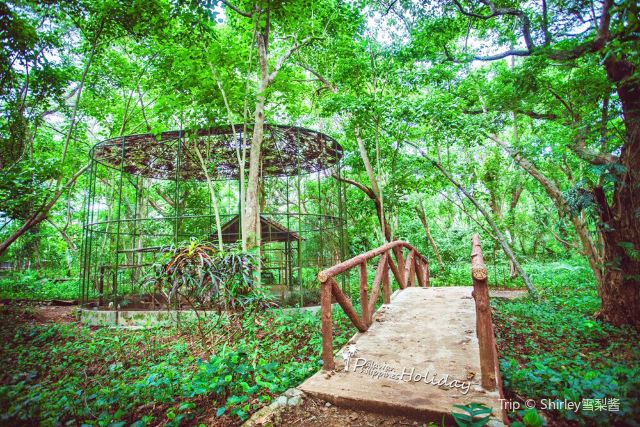 Palawan Wildlife Rescue and Consevation Center