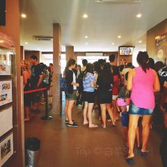 GUSTO GELATO & CAFEE / MERTANADI User Photo