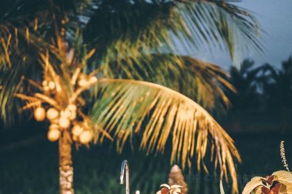 Bebek Joni Restaurant