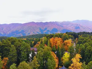 羽黑山五重塔