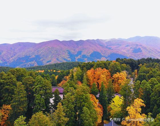 鶴岡市 自由行套票
