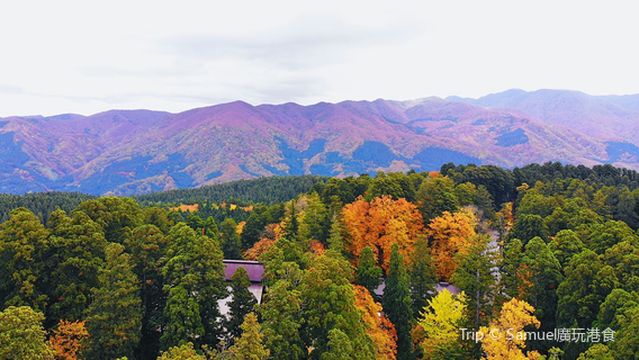 Hagurosan Gojunoto (Five Story Pagoda)