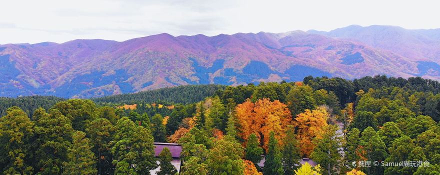 Tsuruoka