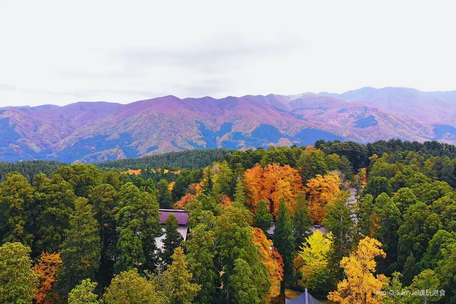 羽黒山五重塔