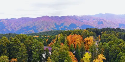 羽蒙特內哥羅五重塔