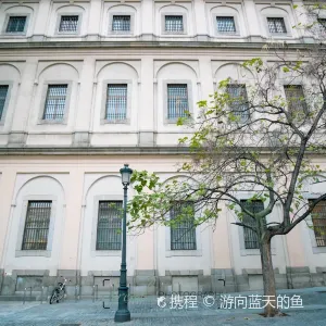 국립 소피아 왕비 예술센터