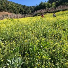 花猫田·奶茶果茶(永德店) 여행 사진