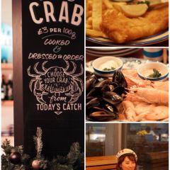 The Scallop Shell User Photo