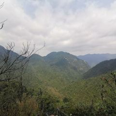莽山天台山美食 User Photo
