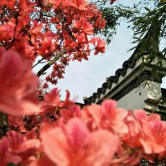 品园度假山庄中餐厅 User Photo