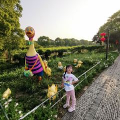 周庄香村·祁庄·禾风里餐厅 User Photo