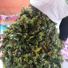 Kopi Teduh Poso User Photo