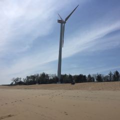 NEST by THE SEA User Photo