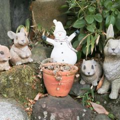 Pannomimi User Photo