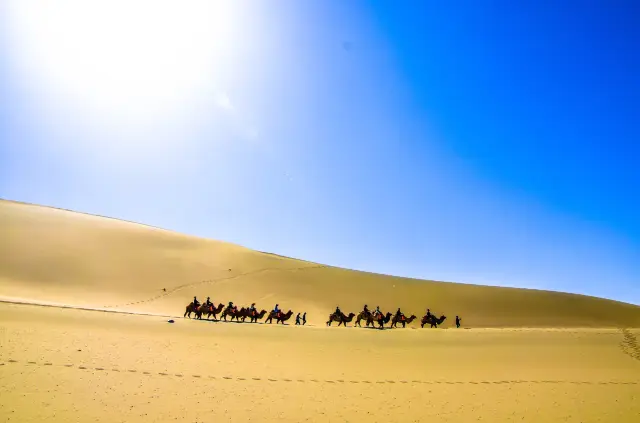 Camel Riding in Dunhuang