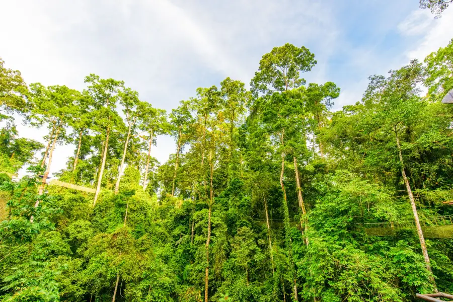 Xishuangbanna Tropical Rainforest Nature Reserve