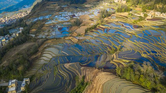 Terraced Fields Viewing in Yuanyang