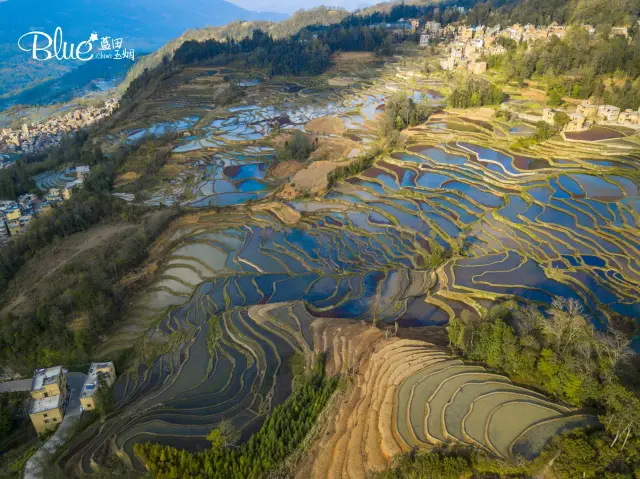 Terraced Fields Viewing in Yuanyang