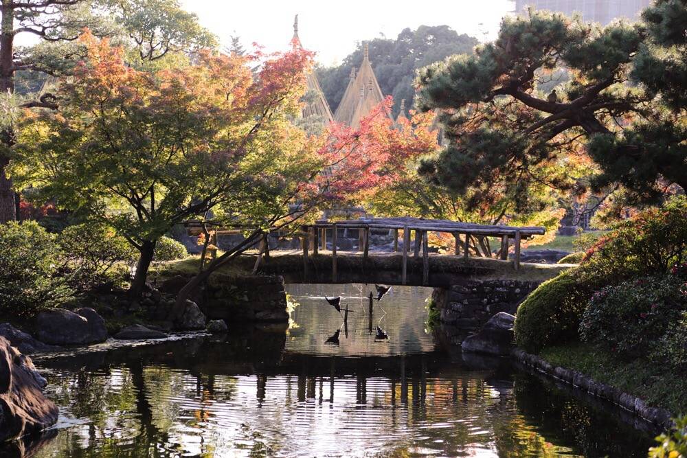 名古屋紅葉 | 2. 德川園