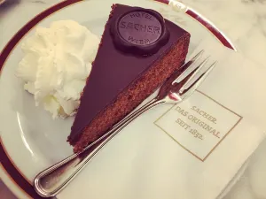 카페 자허