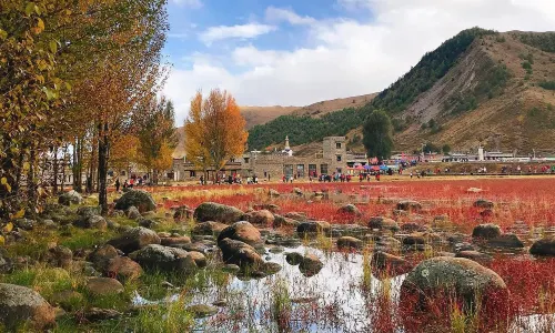 Daocheng