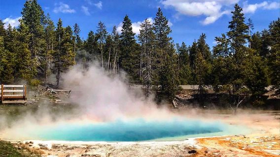 Lower Geyser Basin