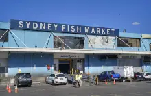 Sydney Fish Market