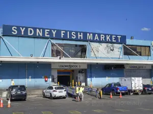 悉尼魚市