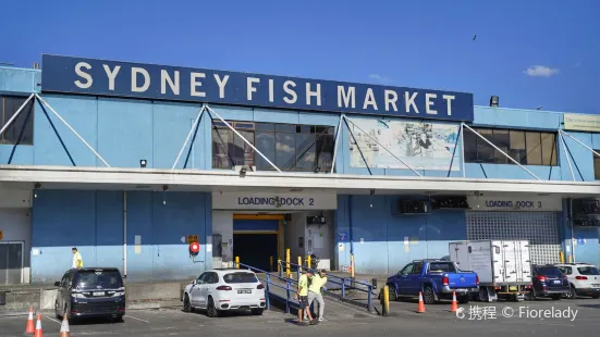 Sydney Fish Market