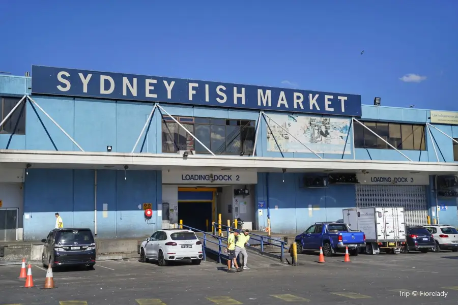 Sydney Fish Market