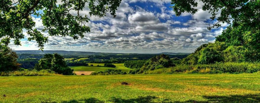 South Downs Way