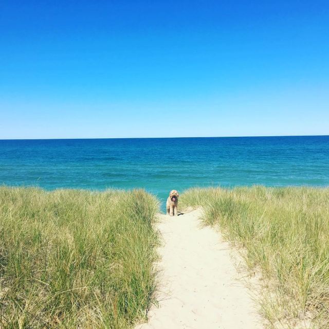 Indiana Dunes State Park