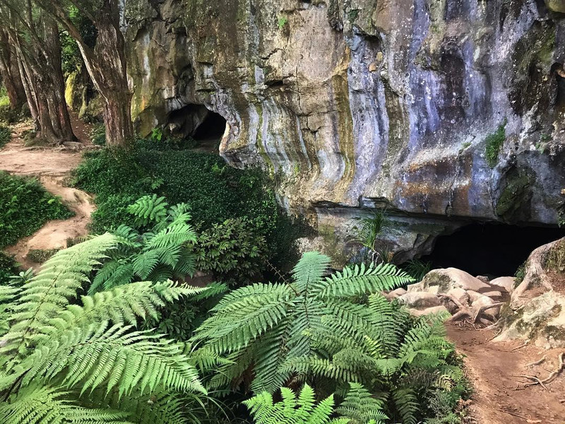 9 tips for exploring the Waipu Caves – Getting Lost