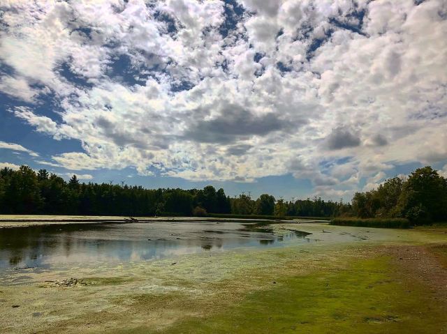 Milne Dam Conservation Park