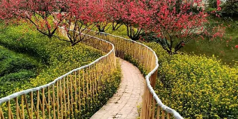 海濱公園