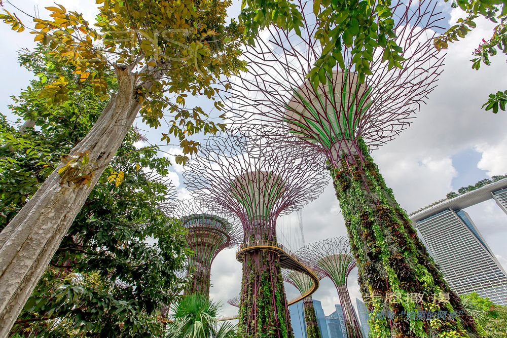 参观滨海湾花园的最佳时间